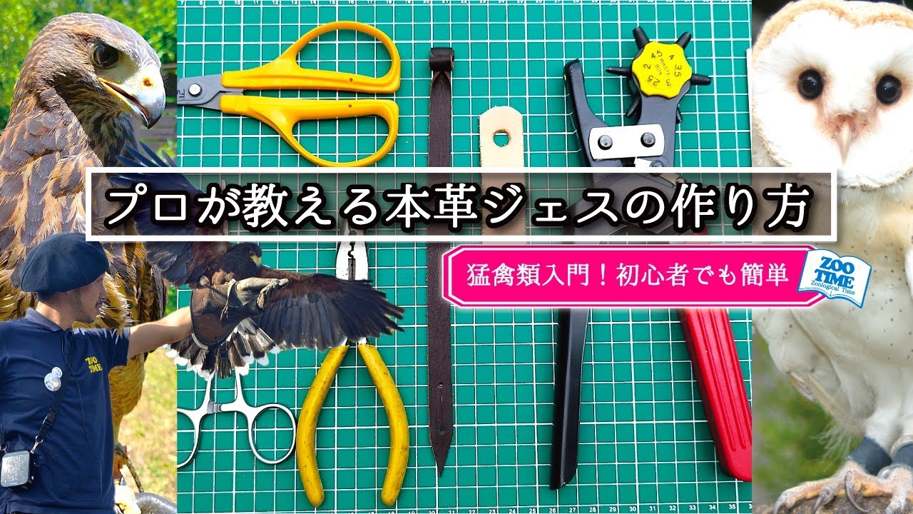 超便利】猛禽類飼育入門！プロが教える本革ジェスの作り方 #ハリス 
