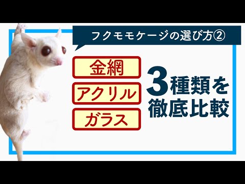 フクロモモンガ】失敗しないケージの選び方#2 特徴について【初心者