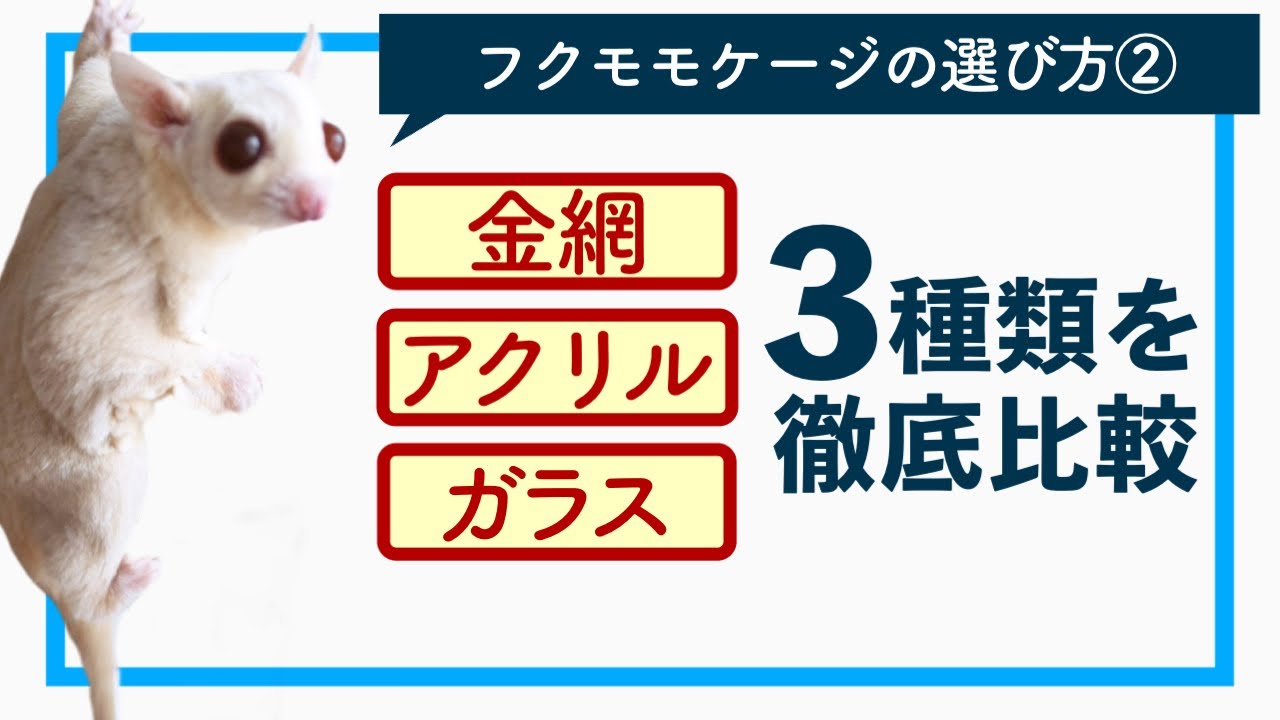 フクロモモンガ】失敗しないケージの選び方#2 特徴について【初心者