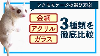 【フクロモモンガ】失敗しないケージの選び方#2　特徴について【初心者向け解説】