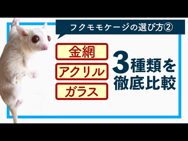 フクロモモンガ】失敗しないケージの選び方#2 特徴について【初心者