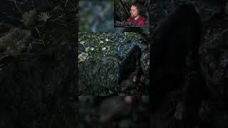 Der Wolf hat mich getötet... und sich dann entschuldigt😭 |🚨Gothic Remake🚨