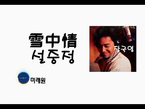 [중국노래]한글가사/해석/자막/병음 장국영(张国荣)의 설중정(雪中情)