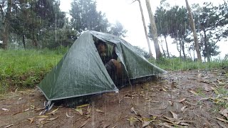 SOLO CAMPING HEAVY RAIN - RELAXING RAIN SOUNDS - ASMR