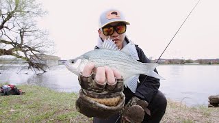How to Catch Whitebass From Shore