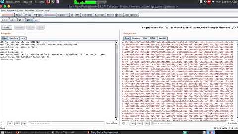 Information disclosure on debug page