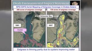 Feds Kill Drakes Bay Oyster Company Marin County, CA