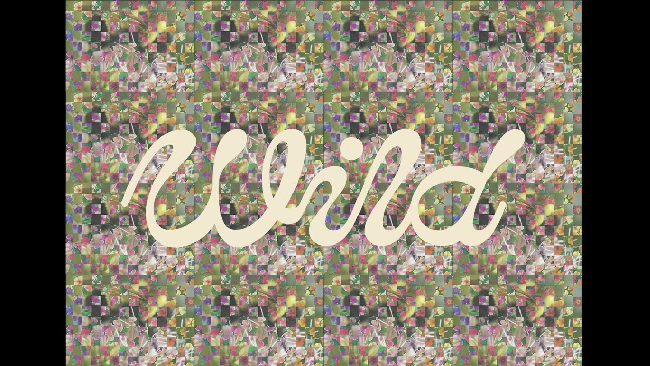 wild branding pitch // lauren jenkins // 2024