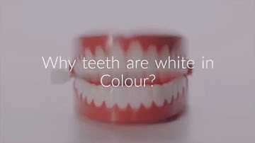 Why teeth are white in Colour?