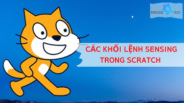 Khối Lệnh Sensing Trong Scratch | Scratch Cơ Bản | Bài 8