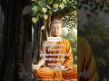🙏🙏🙏 #dhamma #buddhistphilosophy