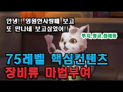 라그나로크 오리진 75레벨 컨텐츠 모라주화 / 마법부여 / 인챈트 에 대한 설명 및 가이드 영상 특수옵션 상세설명 투지,명궁등