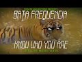 Baja frequencia  know who you are official music