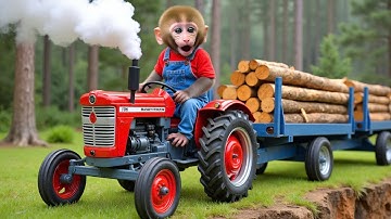 Monkey Nana drives a tractor, encounters an accident and handles it intelligently - NANA MONKEY LIFE