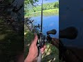 The hardest fish to keep hooked. #fishing #bowfin #roughfish