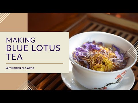 Making Blue Lotus Tea with Dried Flowers
