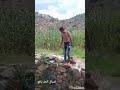 اشبال الحد يافع لاتقلدوناء فنحن بارعون اشبال الحد يافع لاتقلدوناء فنحن بارعون