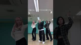 【反転】モナキ - ほんまやで☆なんでやねん☆しらんけど 踊ってみた!#shorts
