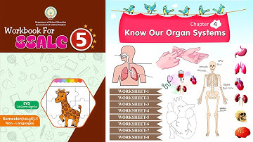 Know Our Organ Systems | Worksheets | మన అవయవ వ్యవస్థల గురించి తెలుసుకుందాం | Chapter 4 | EVS