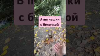 Запятнала меня , теперь я вода #белка #белочка #пушкин #парк #выходные