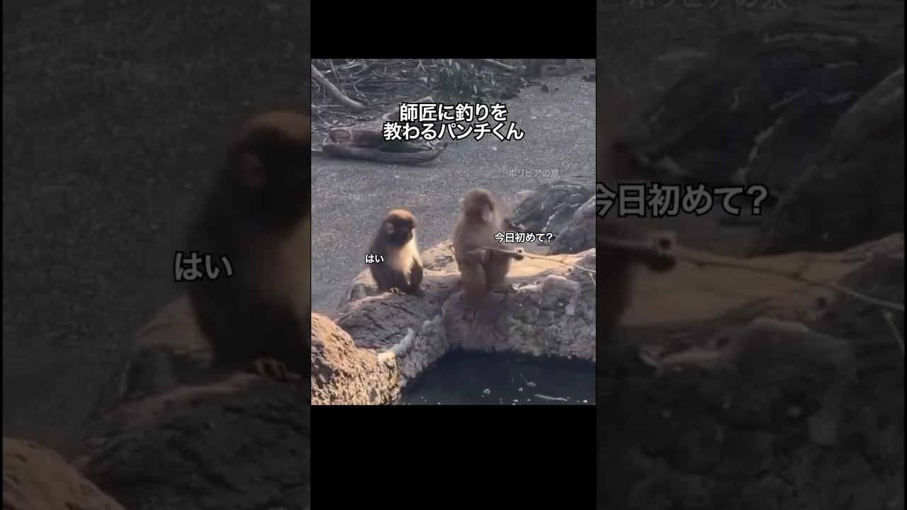 がんばれパンチくん4