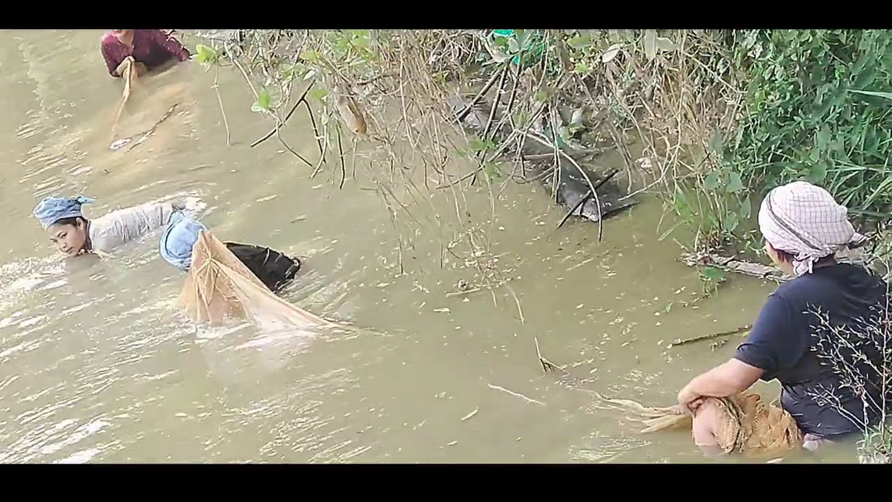 Broi rau Aa rommo nailaidi,