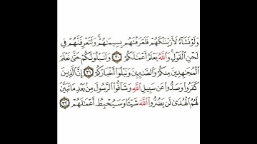سورة محمد 10 القسم العاشر تكرار كيفي من .. ولو نشاء لأريناكهم .. إلى .. وسيحبط أعمالهم #quran #قرآن