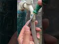 Dirty Garden Hose Inside? The Magic Sponge & Tap Water Trick to Flush It Clean Instantly!