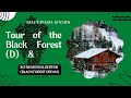 Schwarzwaldcreme (Black Forest Dessert) &amp; tour of the Balck Forest (D)