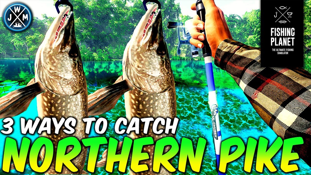 3 WAYS To Catch NORTHERN PIKE on Saint Croix Lake Fishing 2023