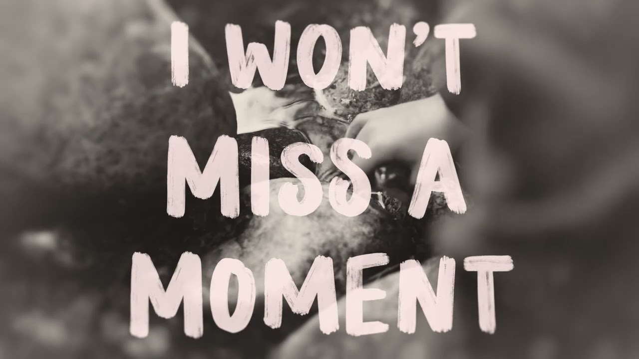 Francesca Battistelli - Won't Miss A Moment (Official Lyric Video)