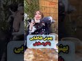 بهنوش طباطبایی وگربه هاش بهنوش بختیاری همسر سابق مهدی پاکدل پارسیان کت ۰۹۱۲۲۰۸۴۱۰۴تماس خرید گربه