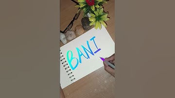 Bani✍️ writing my subscribers name 🪄#brushpen #shortvideo #satisfying #brushpen #calligraphy