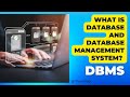 What are Database and Database management systems? (DBMS) | ITExamtools.com