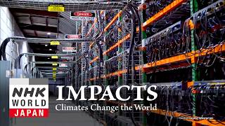 Data Centers: The New Surge in CO2 Emissions - IMPACTS: Climates Change the World
