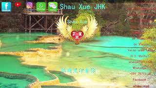 百花香 （DJ版） 魏新雨【動態歌詞Lyrics Video】