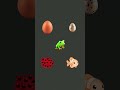 why is egg #trending #viral #edit #anime