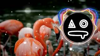 🌅Cole's Ascend by Jacob Ehrhorn [Alakei Remix] We Are Your Friends Song🔥︳SIN COPYRIGTH︳🎶