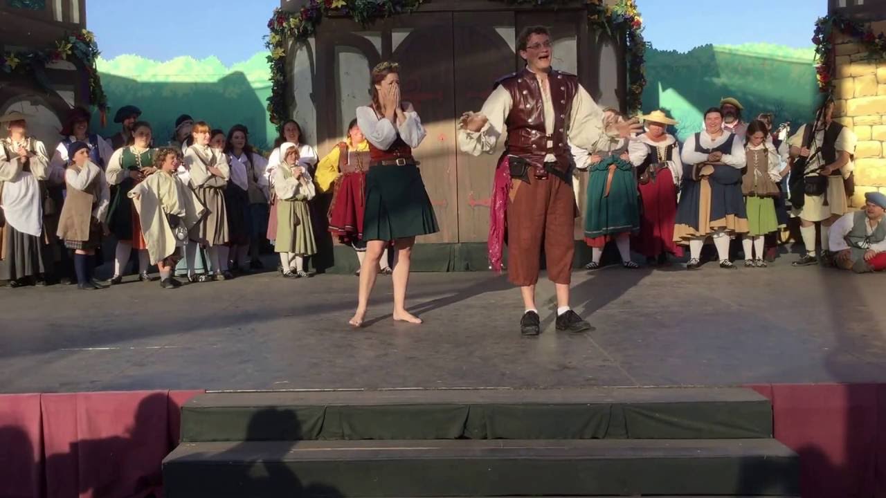 Irish Dance Surprise Proposal