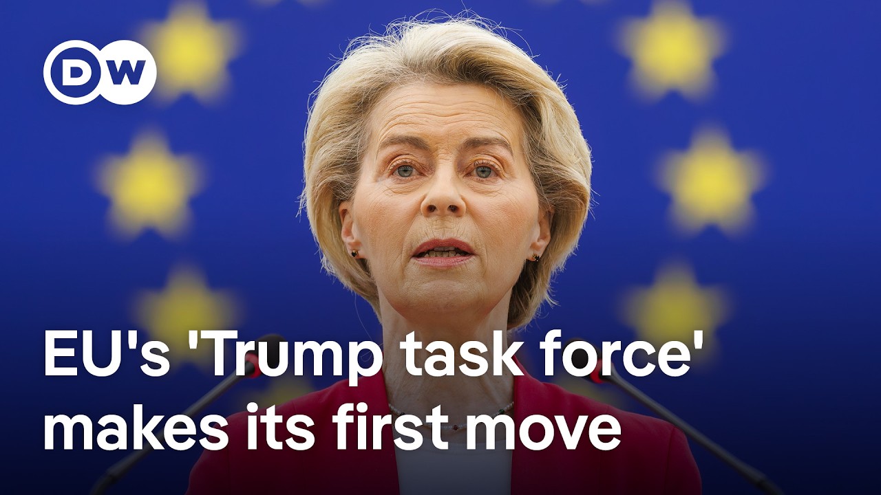 'The EU has done its homework' What's Europe's master plan in dealing with US tariffs? | DW News