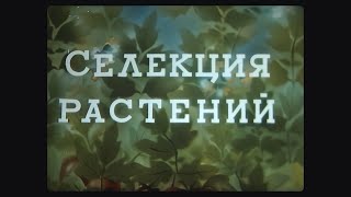 Селекция Растений, Киевнаучфильм.1975Г.