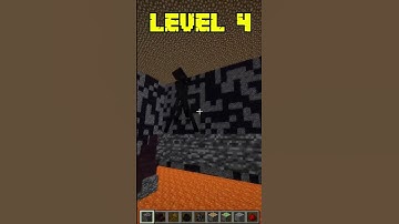 Minecraft Enderman IQ Test (World