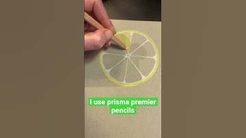 How to Draw a Lemon slice 🍋 #artbook #shortswithcamilla