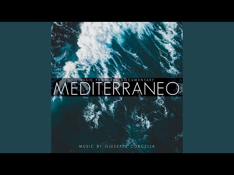 Video Rinascita