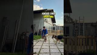 Il cane attacca? Non è quello che pensi.