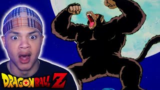 GOHAN'S FIRST GREAT APE TRANSFORMATION!! | Dragon Ball Z Episode 8 REACTION!