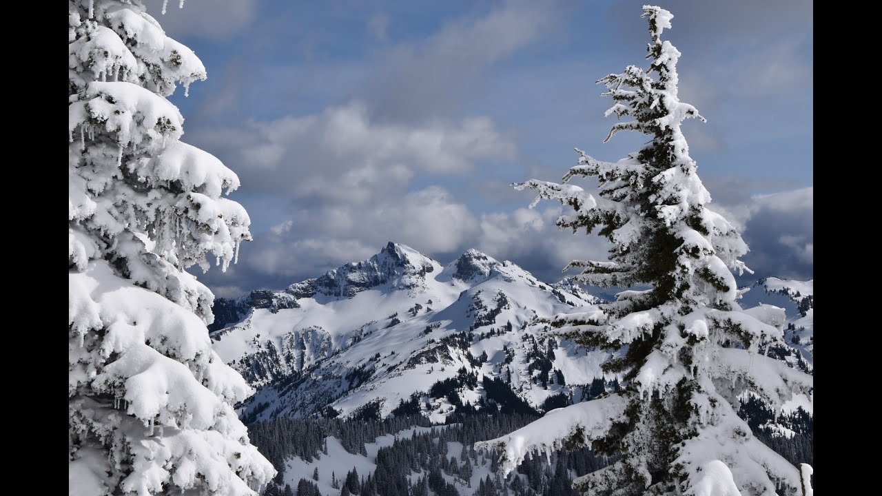 Tahoma Snow: Winter Flurries and Spring Sun in Paradise
