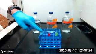 Selecting a Solvent to Crystallize a Substance
