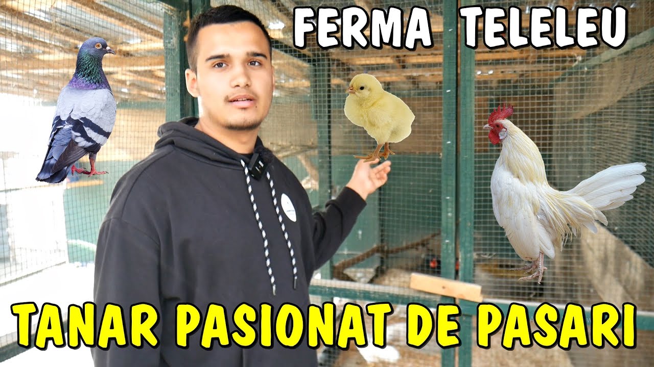 Viața la țară - Am revenit la FERMA TELELEU acasă la Bogdan - Ce noutăți mai are prin gospodărie?