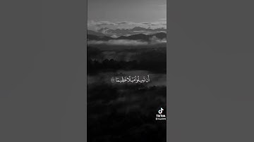 والله يريد ان يتوب عاليكم تلاوه هادئة بصوت الشيخ ياسر الدوسرى